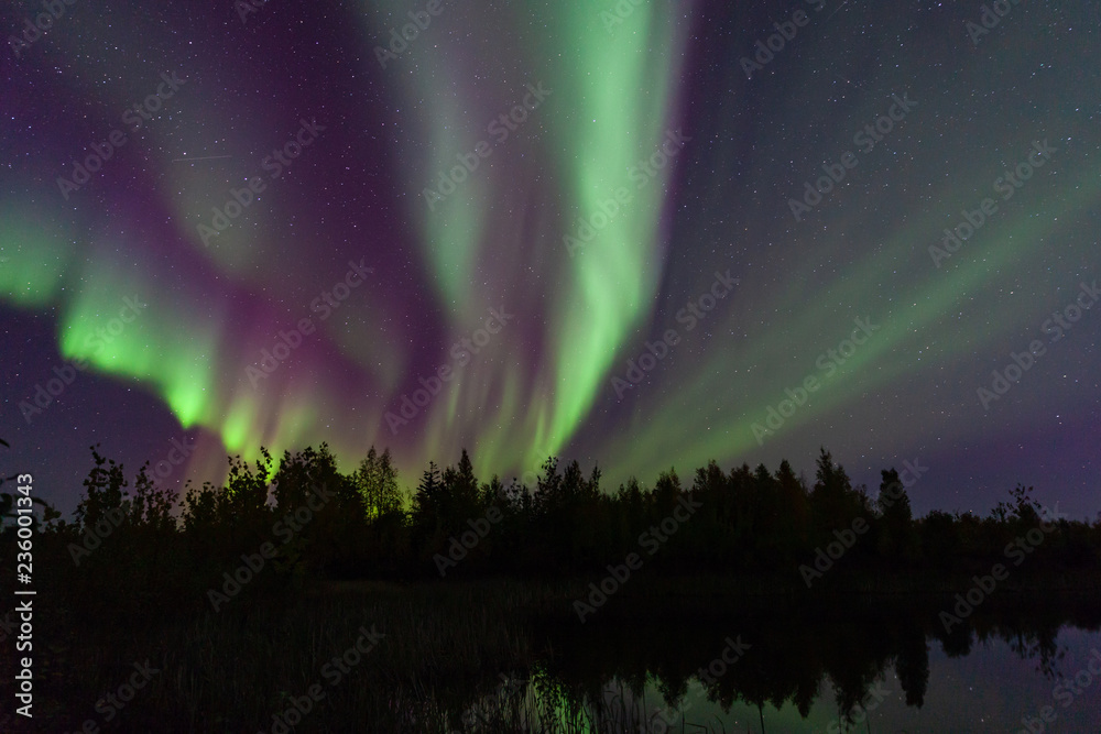 Northern LIghts shooting over trees by pond