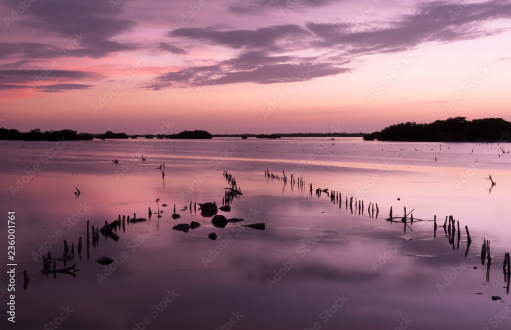 Naklejka premium Puesta de sol en el manglar de Xcambó, en Yucatán, México.