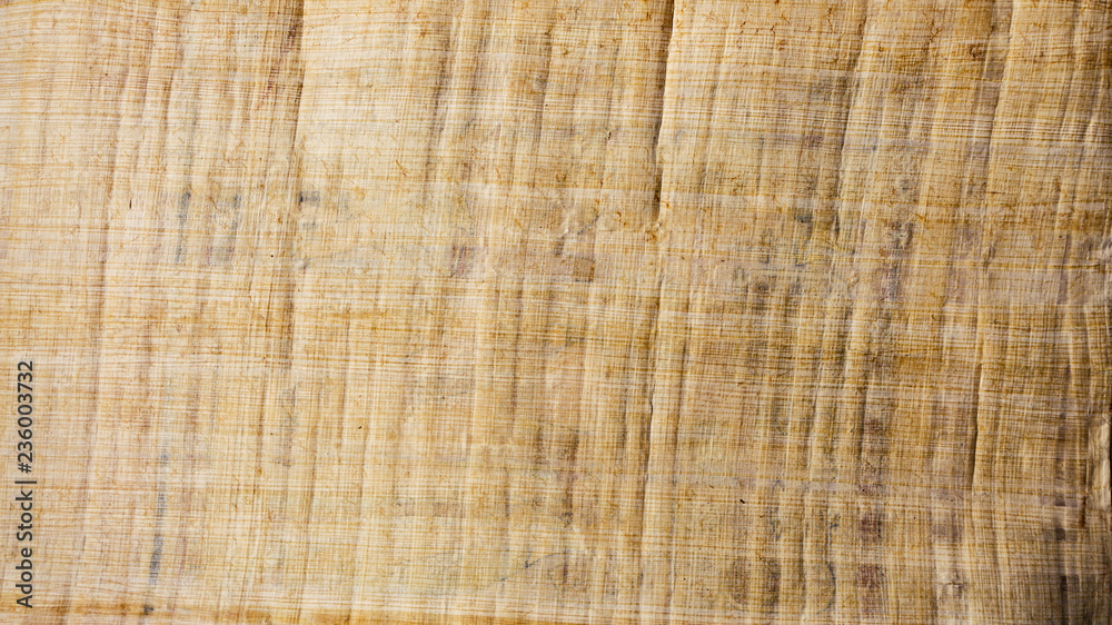Torn Yellow Brown Papyrus Paper Torn Yellow Brown Papyrus Paper