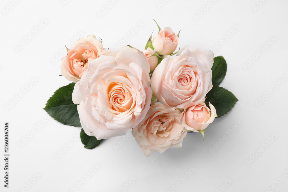 Beautiful roses on white background, top view