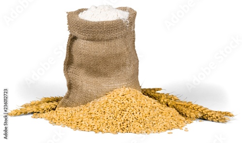 Wheat Grain and Bran Sack