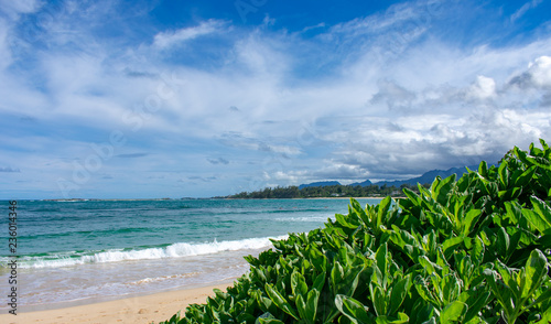 Gorgeous Tropical Island Beach in Hawaii photo