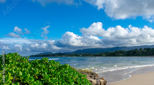 Gorgeous Tropical Island Beach in Hawaii photo