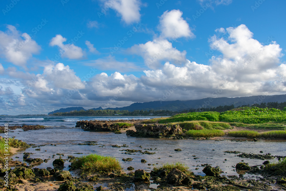 Seaside Inlet in Hawaii