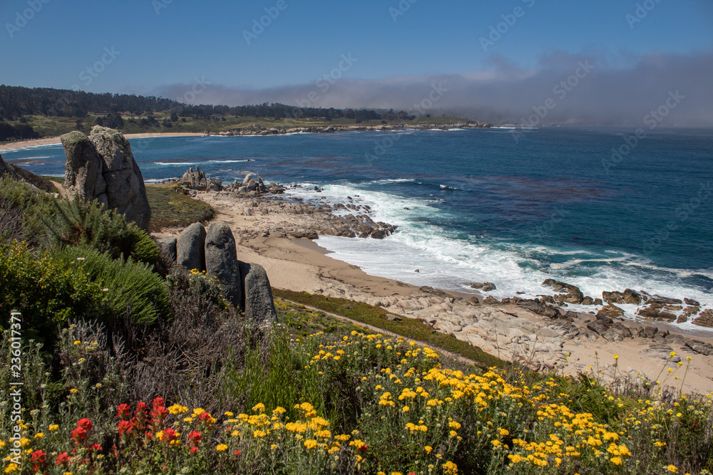 California Natural Beauty Central Coast