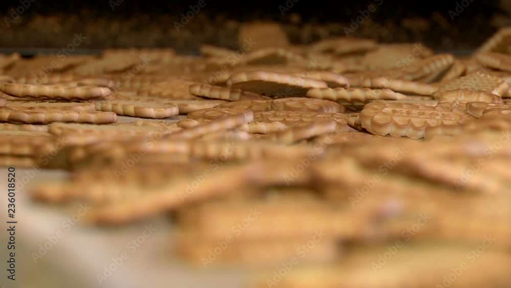 Finished cookies out on the conveyor Finished cookies out on the conveyor