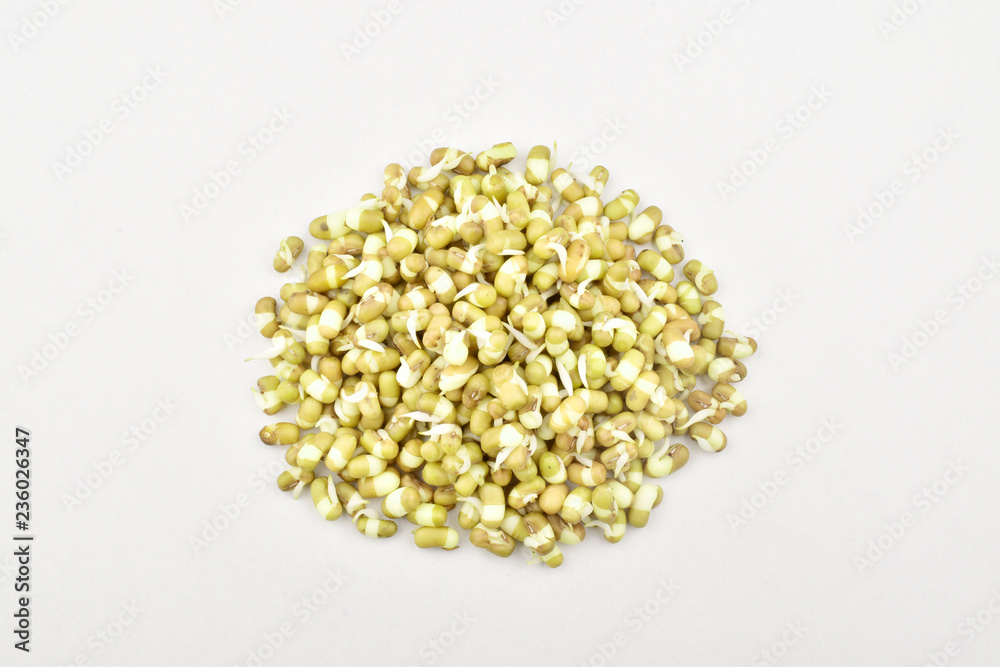 Bean Sprouts on isolated White Background Bean Sprouts on isolated White Background