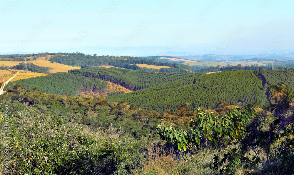 Landscape in Campinas, SP/ Brazil Landscape in Campinas, SP/ Brazil