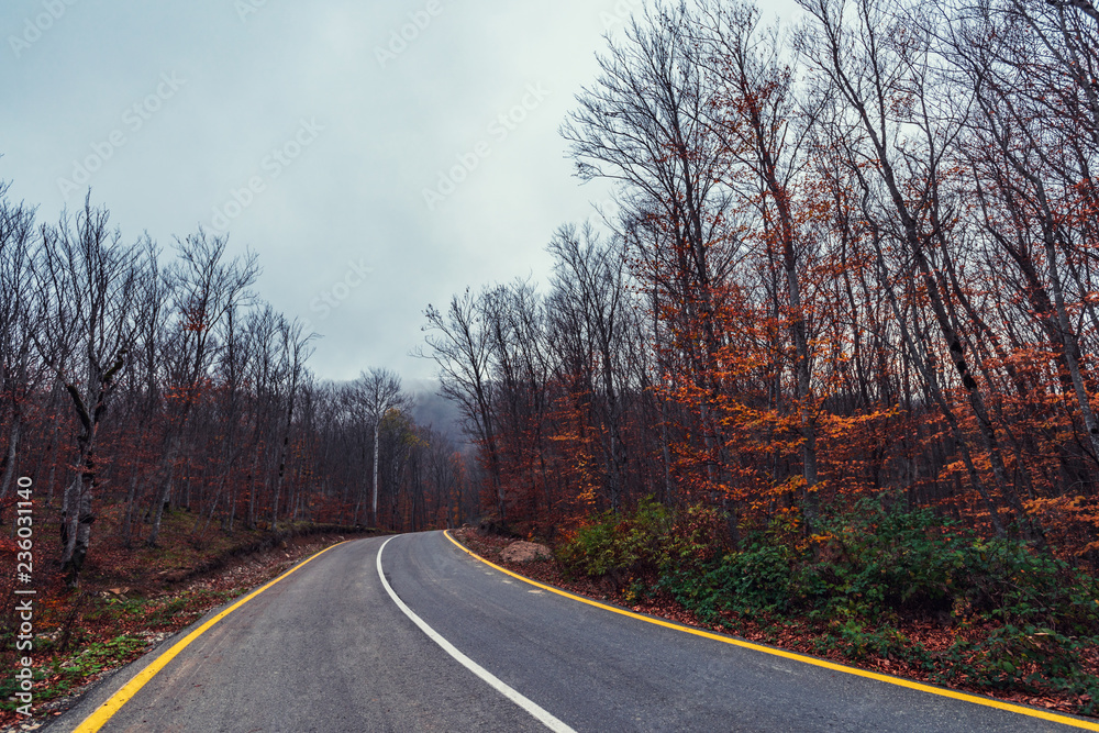 Fototapeta premium Autostrada w jesiennym lesie górskim