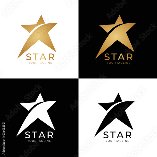 Star logo vector. Universal abstract logo with a star symbol for any business. Star sign - a leader, success and power.