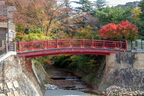 有馬温泉 ねね橋と紅葉 © alpha7000