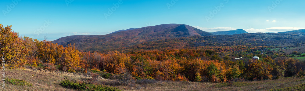 Autumn panorama. View of the yellow mountain forest and the village
