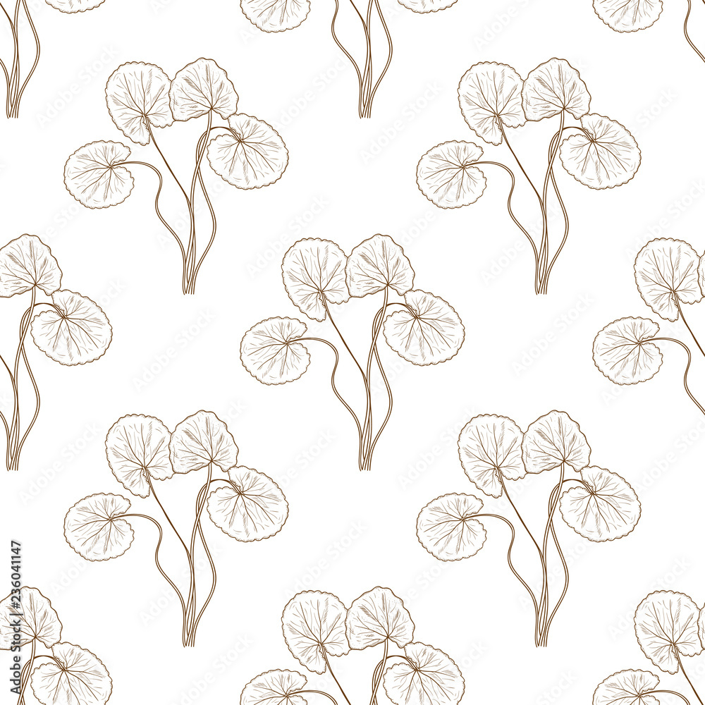 Gotu kola.Leaves, branch. Background, wallpaper, seamless. Sketch. Monochrome.