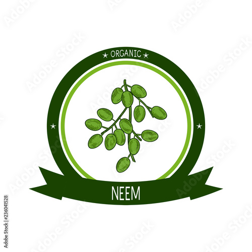 Neem, sketch. Fruits. Logo, emblem, sticker