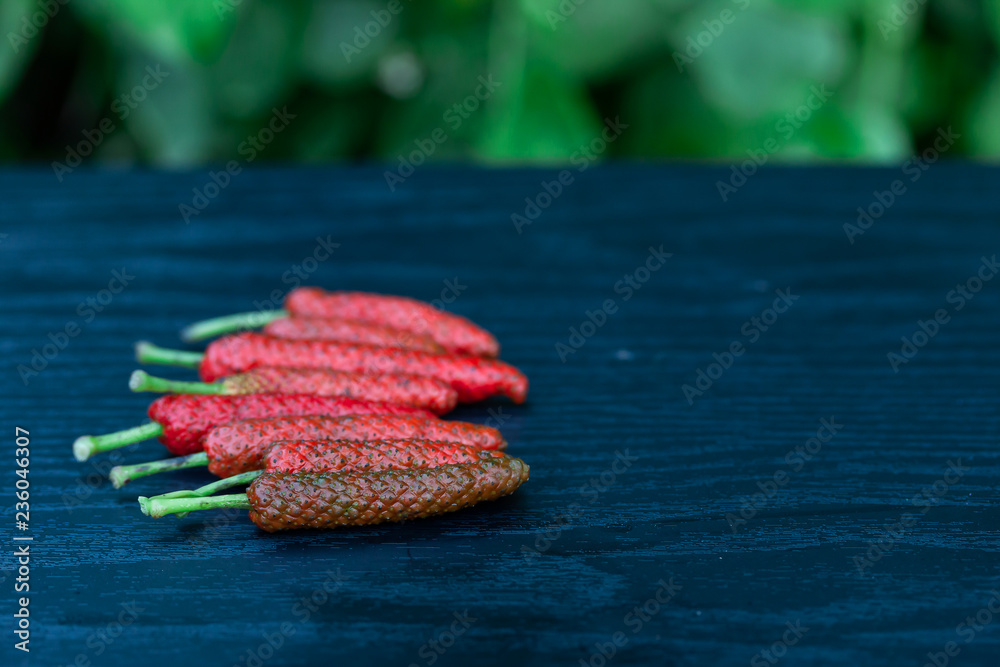 Long pepper indian long pepper javanese long pepper per is herbs with