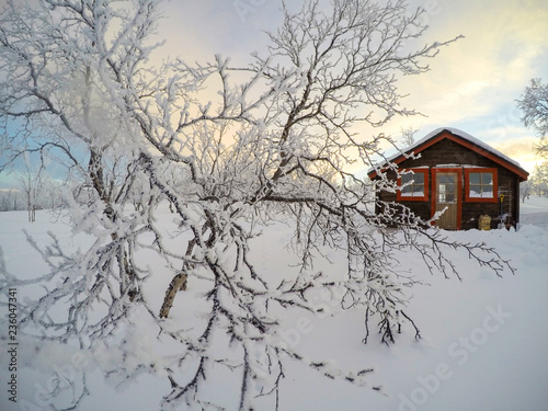 Winter Cabin in the Wilderness during Winter
