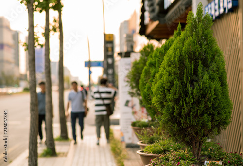 Photography Seoul Street