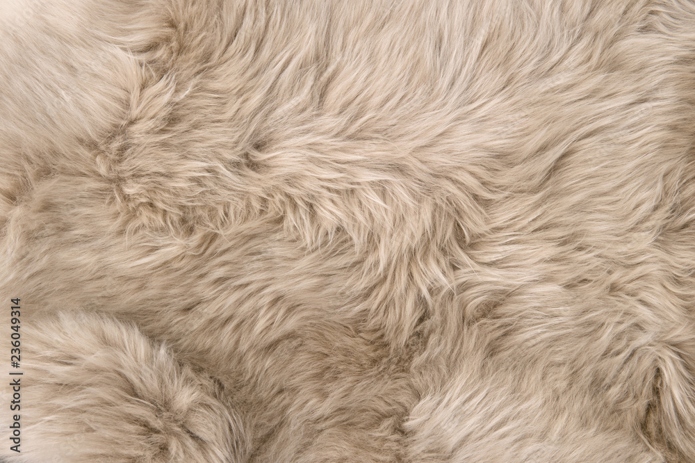 Sheep fur Natural sheepskin background Wool texture Sheep fur Natural sheepskin background Wool texture