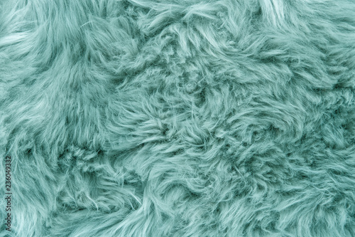 Sheep fur Blue sheepskin rug background texture