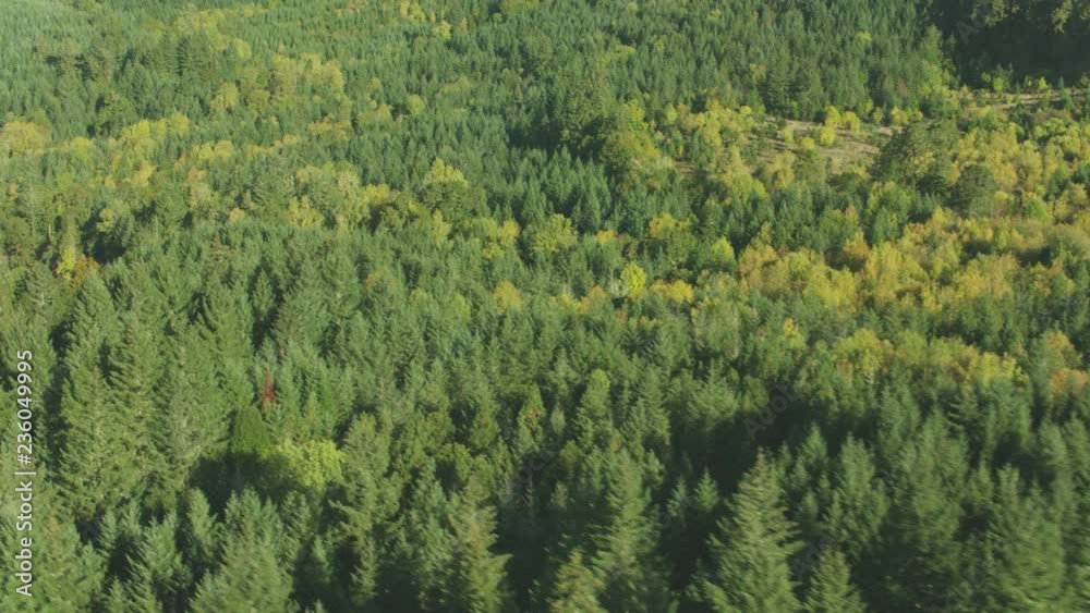 Aerial view of forests lakes and mountains covered in mist of Oregon county