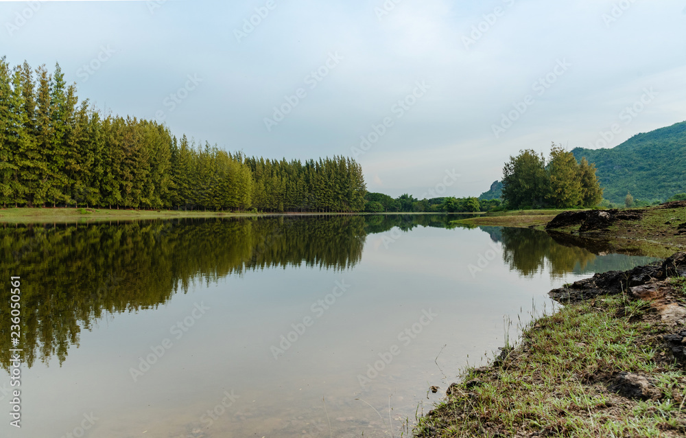 lake view landscape lake view landscape