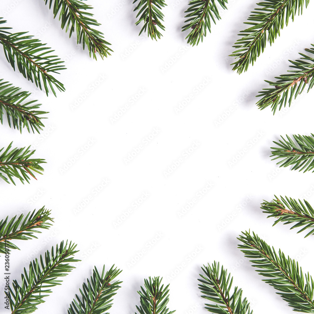 Fir branches on a white background. Christmas template