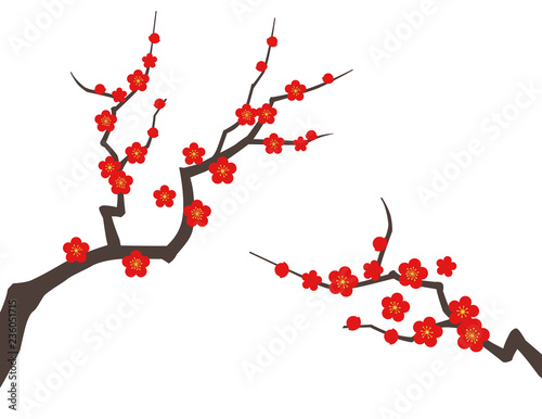 梅の木 背景素材