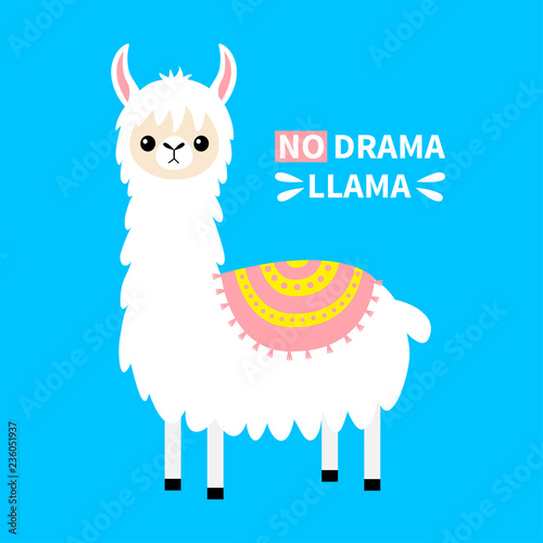 No drama llama. Alpaca animal. Cute cartoon funny kawaii character. Baby face. Childish collection. T-shirt, greeting card, poster template print. Flat design. Blue background.