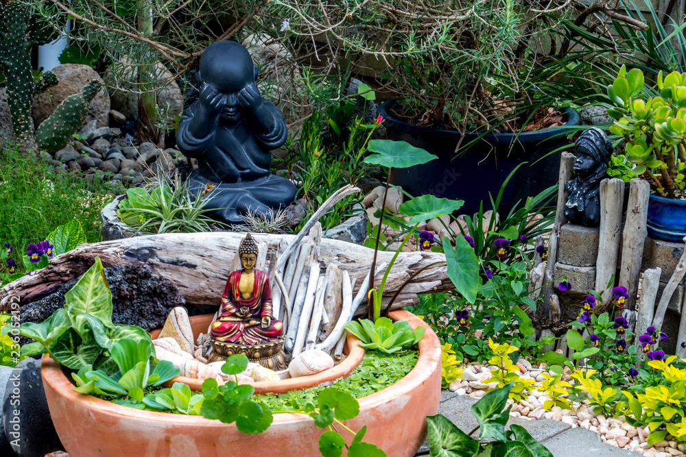 Mini jardin zen Mini jardin à l'île de la Réunion Stock Photo