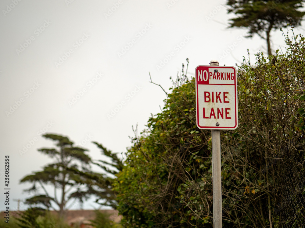 No parking bike lane sign post hanging around trees on a street