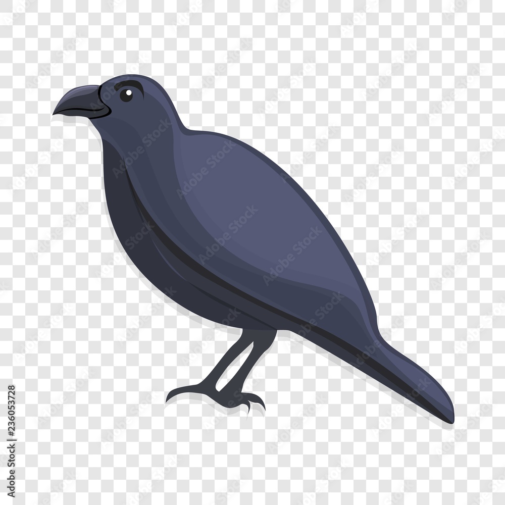 Fototapeta premium Black crow icon. Cartoon of black crow vector icon for web design 