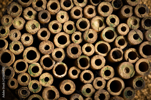 stack of bamboo © Thunwa