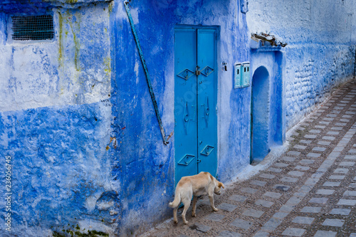 Gasse in Chefchaouen in Marokko © Winfried Rusch