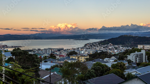 Sunset over Wellington city harbor, New Zealand