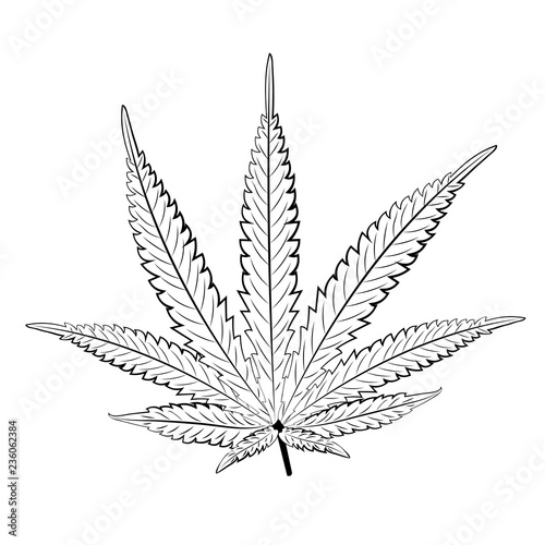 Marijuana leaf in black and white