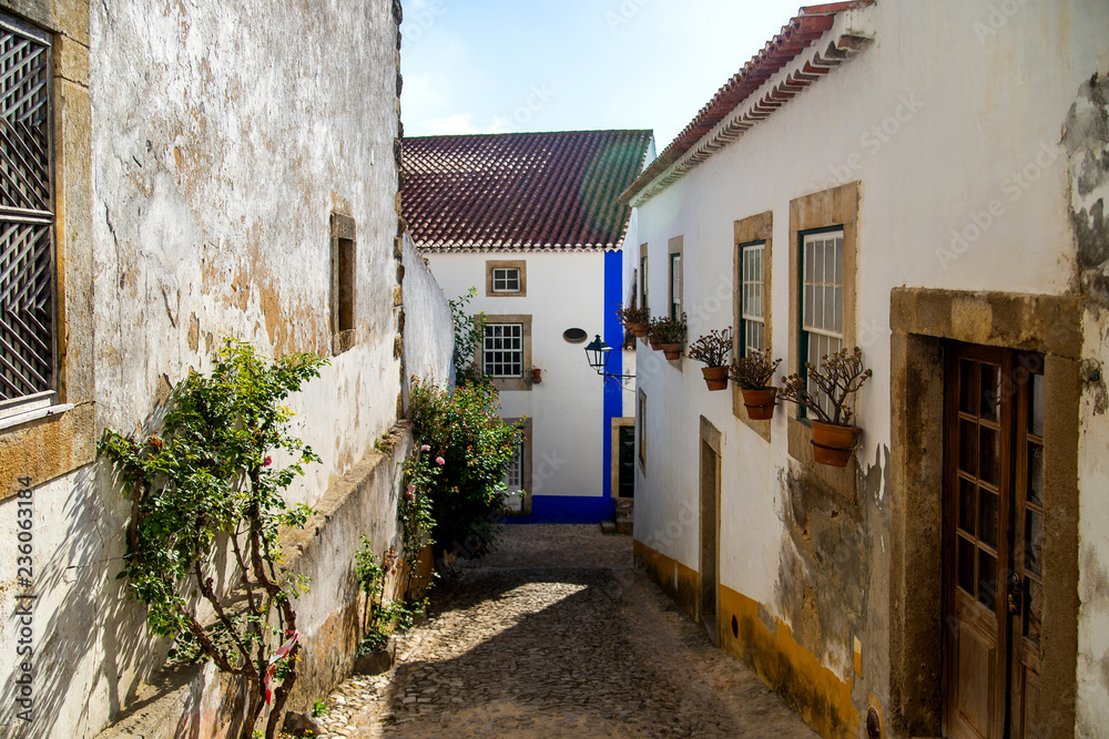 Fototapeta premium Cozy narrow streets of old town Obidos, Portugal