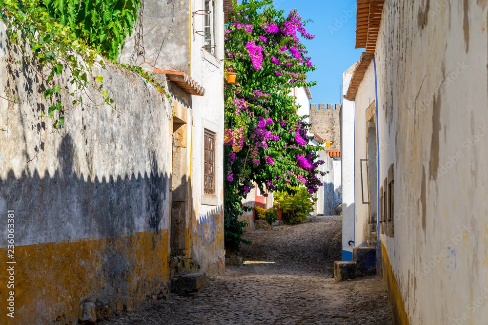 Cozy narrow streets of old town Obidos, Portugal
