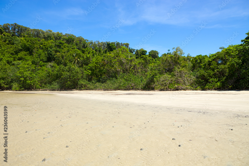 Beach near The Daintree in Tropical North Queensland, Australia Beach near The Daintree in Tropical North Queensland, Australia