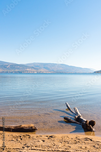 Driftwood on beach with calm lake and blue sky