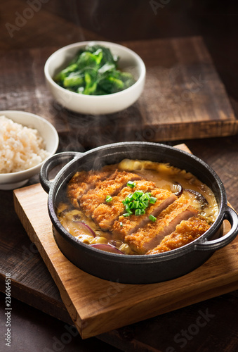 Japanese Fried pork curry meal