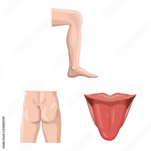Vector design of human and part sign. Set of human and woman stock symbol for web.