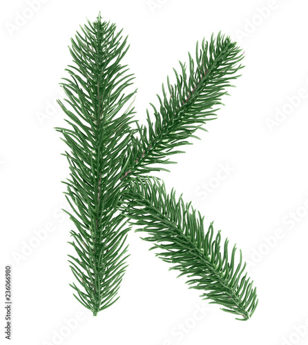 Letter K  English alphabet  collected from Christmas tree branches  green fir. Isolated on white background. Concept  ABC  design  logo  title  text  word