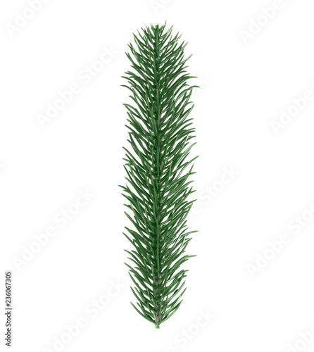 Letter I, English alphabet, collected from Christmas tree branches, green fir. Isolated on white background. Concept: ABC, design, logo, title, text, word