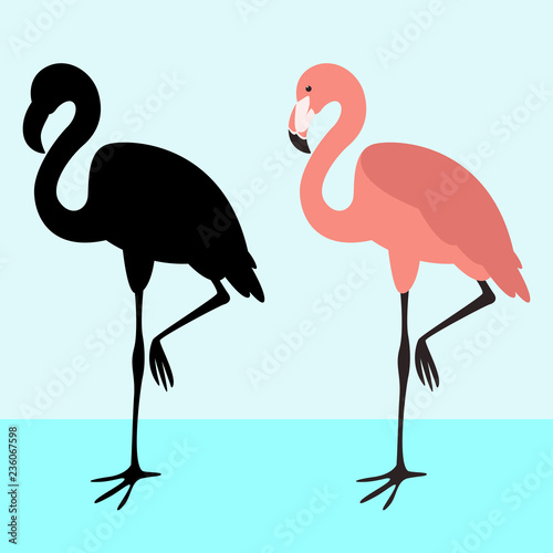 flamingo  bird  black silhouette  flat style 