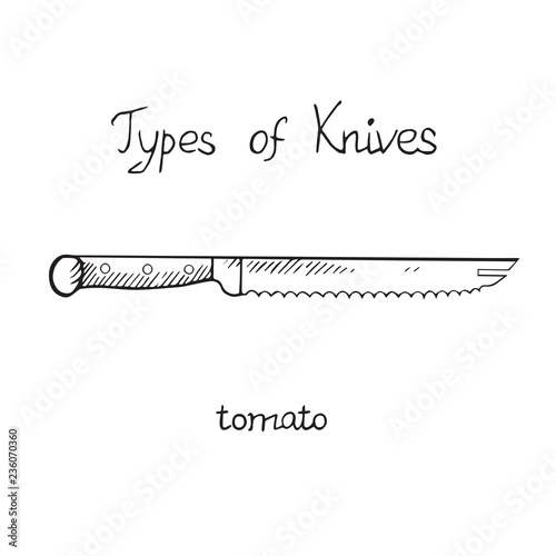 Knife types, tomato, vector outline illustration with inscription