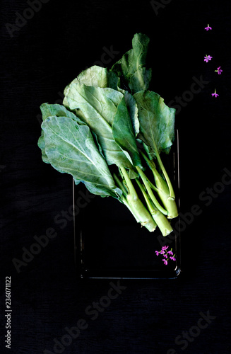 Chinese kale vegetable on the back wood background.