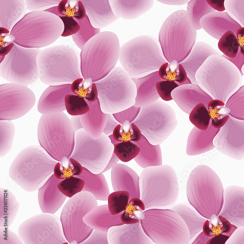 Orchid seamless pattern
