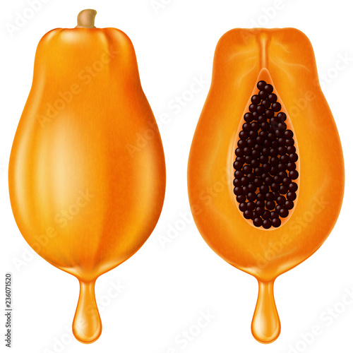 Ripe papaya with juice drop. Vector illustration.