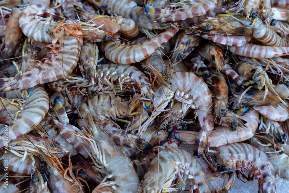 Fresh prawns from the Red Sea laid on the ice.