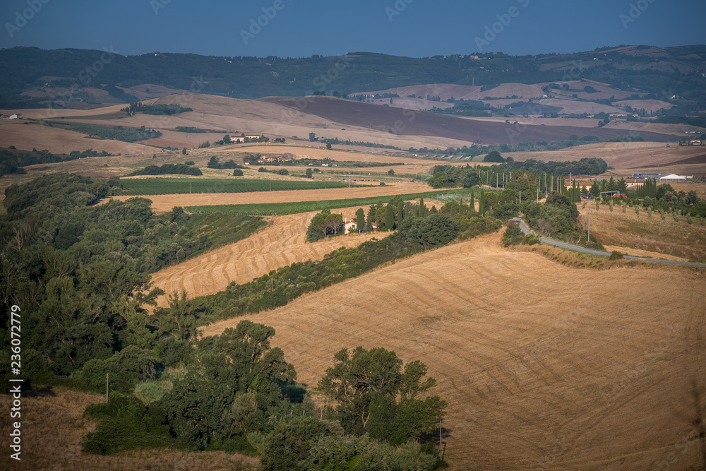 Naklejka premium Pastina, Pisa, Tuscany - Countryside landscape